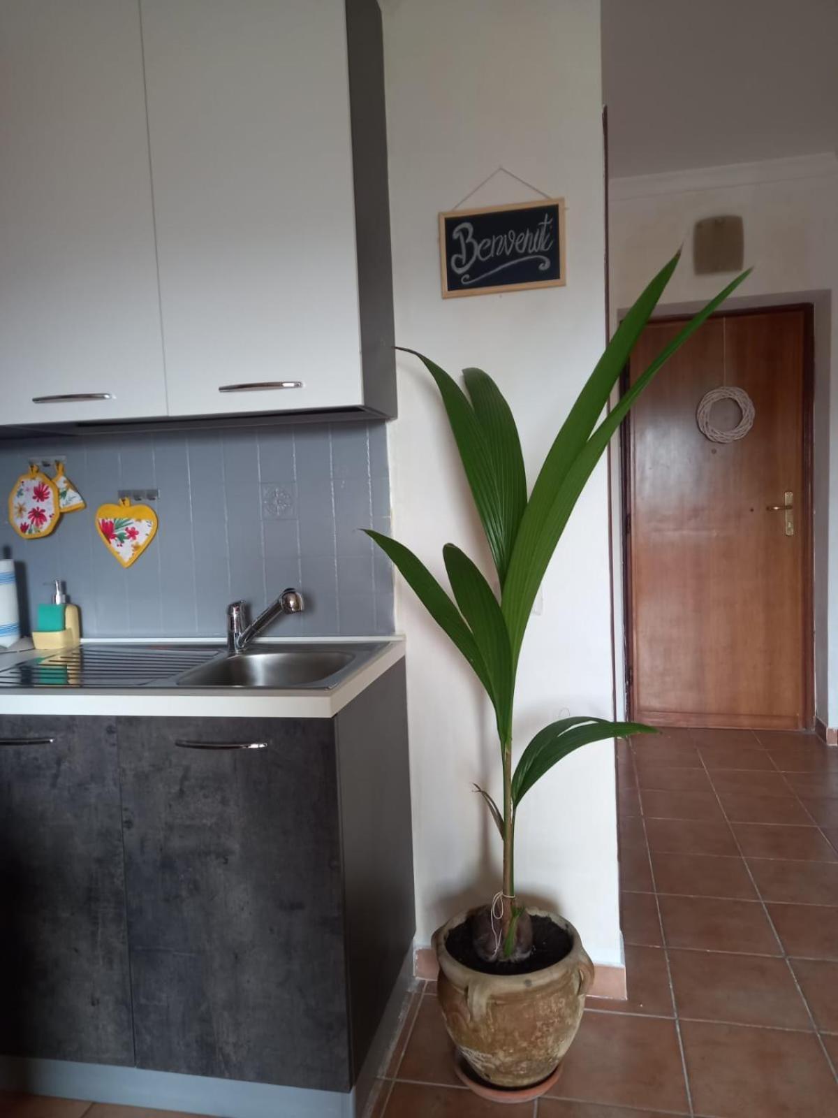 Antica Fonte Apartment Montefranco Exterior photo
